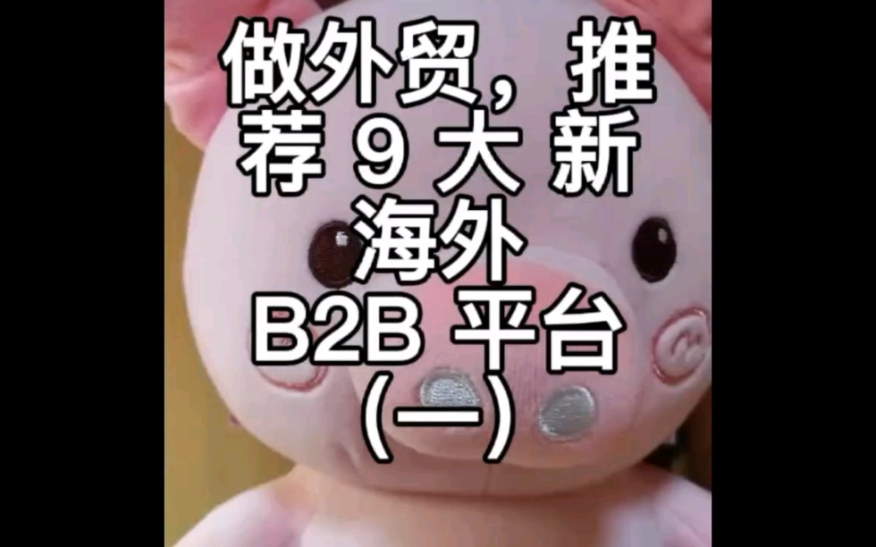 9大新海外B2B平台有哪些?(一)#外贸出口#国际贸易#跨境电商哔哩哔哩bilibili