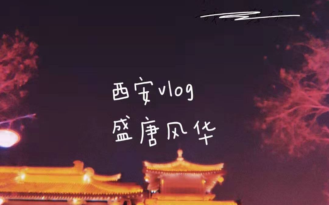 [图][FLORIA 游世界之西安VLOG] 大唐不夜城/兵马俑/醉长安/永兴坊/回民街