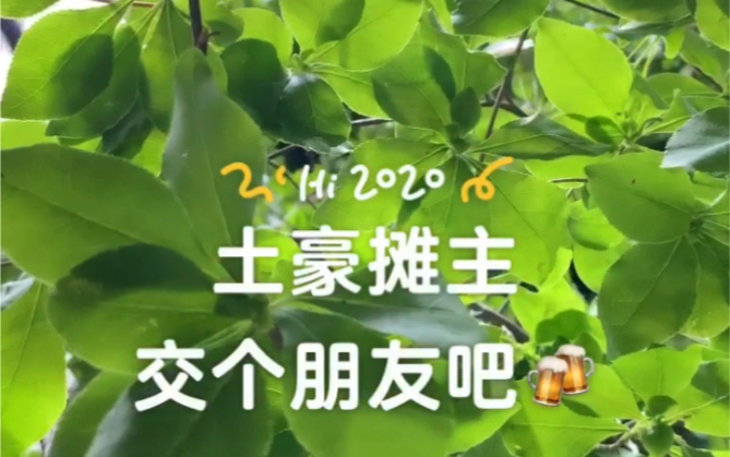 叶界爱马仕!日本吊钟哔哩哔哩bilibili