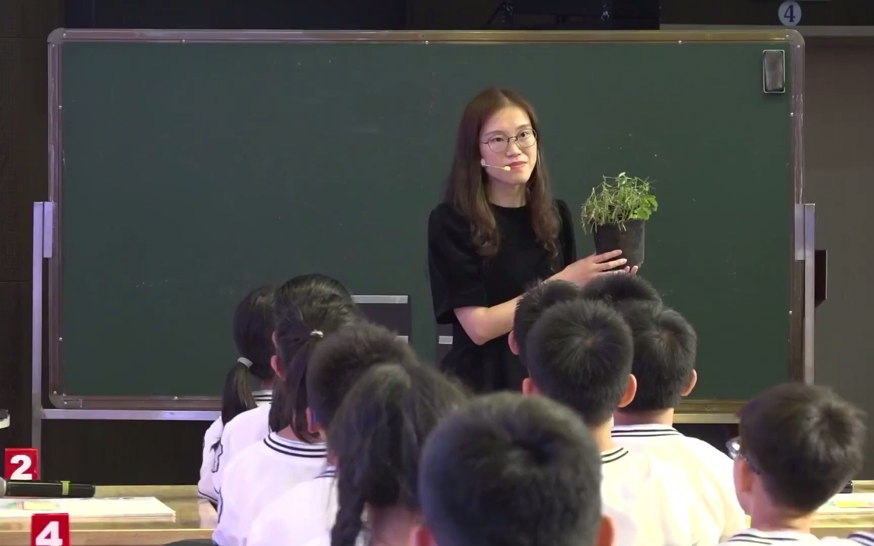 教科版小学科学六上昼夜和四季变化对生物的影响宁波市实验小学叶彦炯哔哩哔哩bilibili