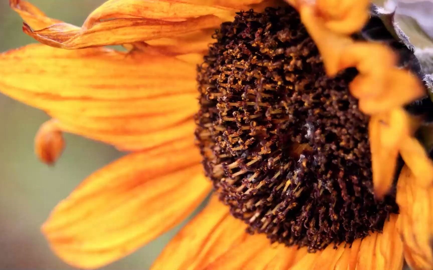 瑞老师开启普拉那能量管道工作坊