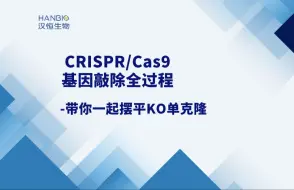 Download Video: CRISPR_Cas9基因敲除全过程，带你一起摆平KO单克隆