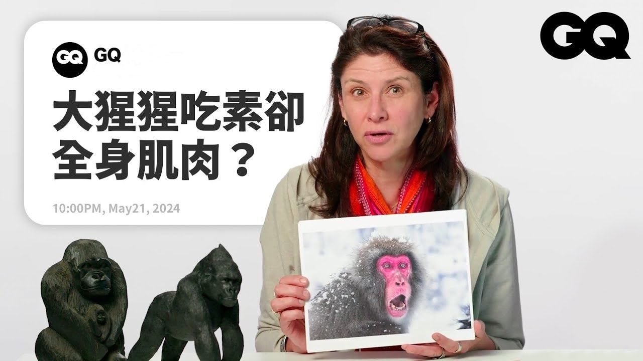 【中字】灵长类动物学家解析猿类疑问!《猩球崛起》描绘超准确?倭黑猩猩用床战解决纷争?大猩猩有同理心?看到后面越来越心酸|名人专业问答|来源:...