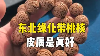 下载视频: 绿化带桃核，皮质真不错