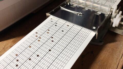 さくらひらり 哔哩哔哩 Bilibili