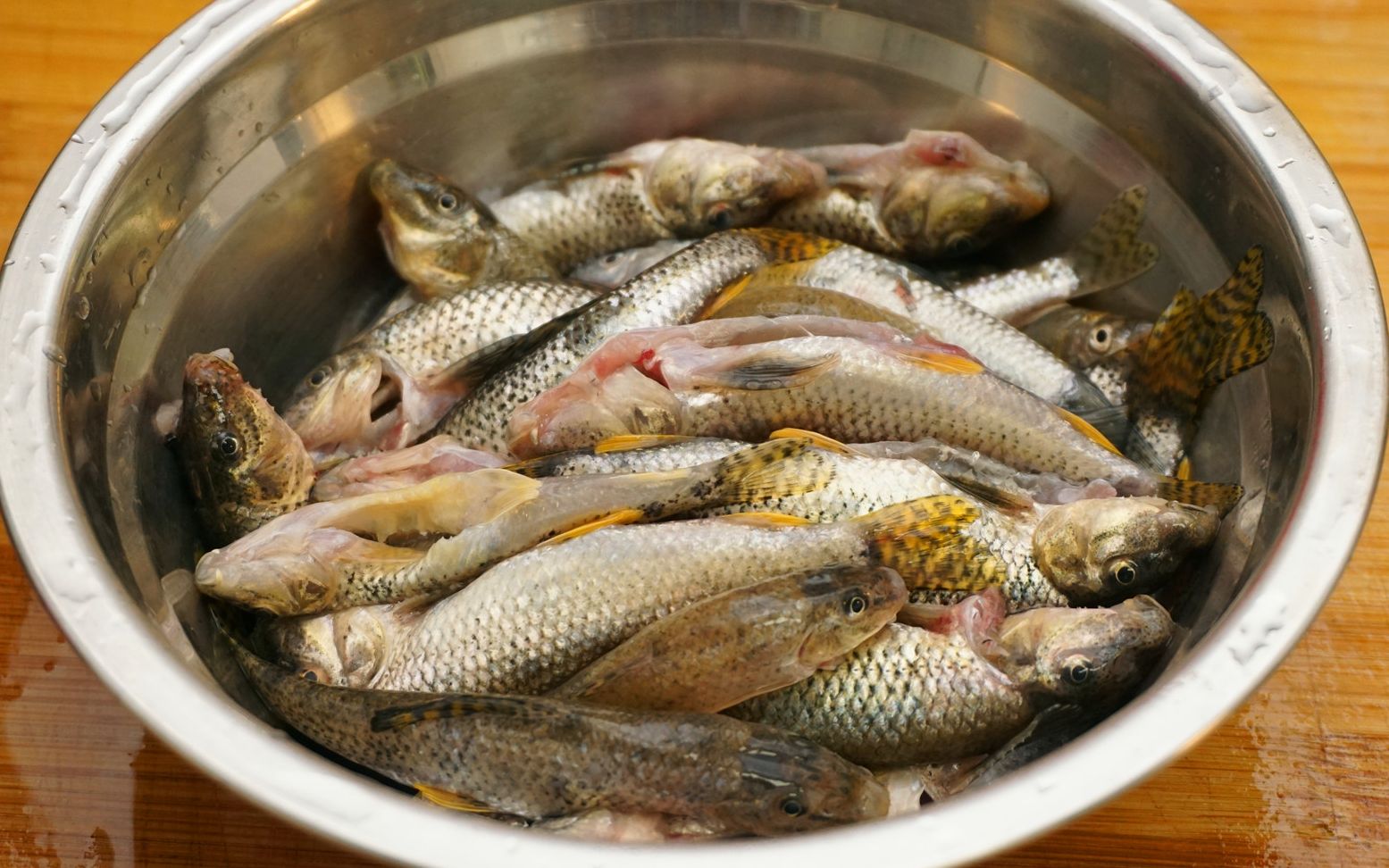 10元一斤的小河鱼,简单焖煮一下,比鲫鱼更入味,味道超赞