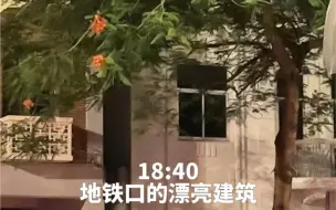 下载视频: 周末4:30早起一天能做多少事？