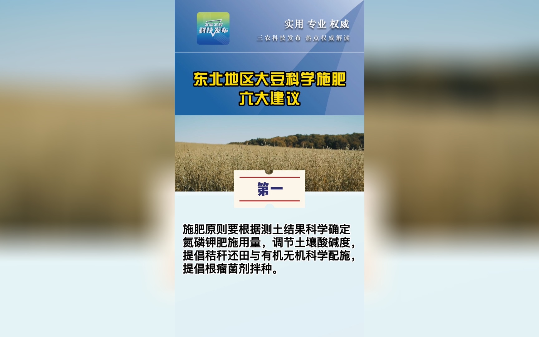 东北大豆如何施肥?施肥六大建议来啦!哔哩哔哩bilibili