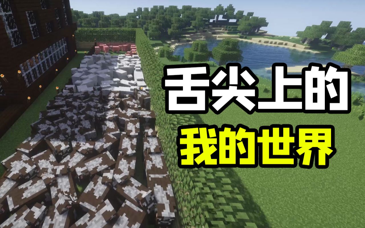 [图]舌尖上的MC