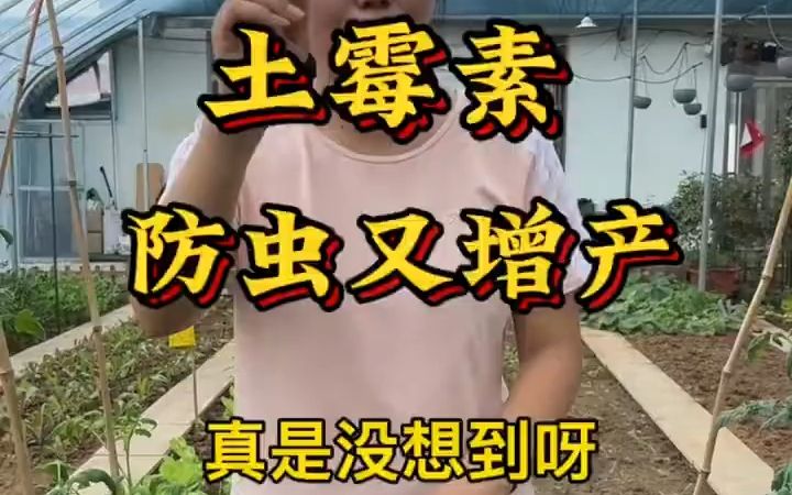 土霉素蔬菜种植大妙用哔哩哔哩bilibili