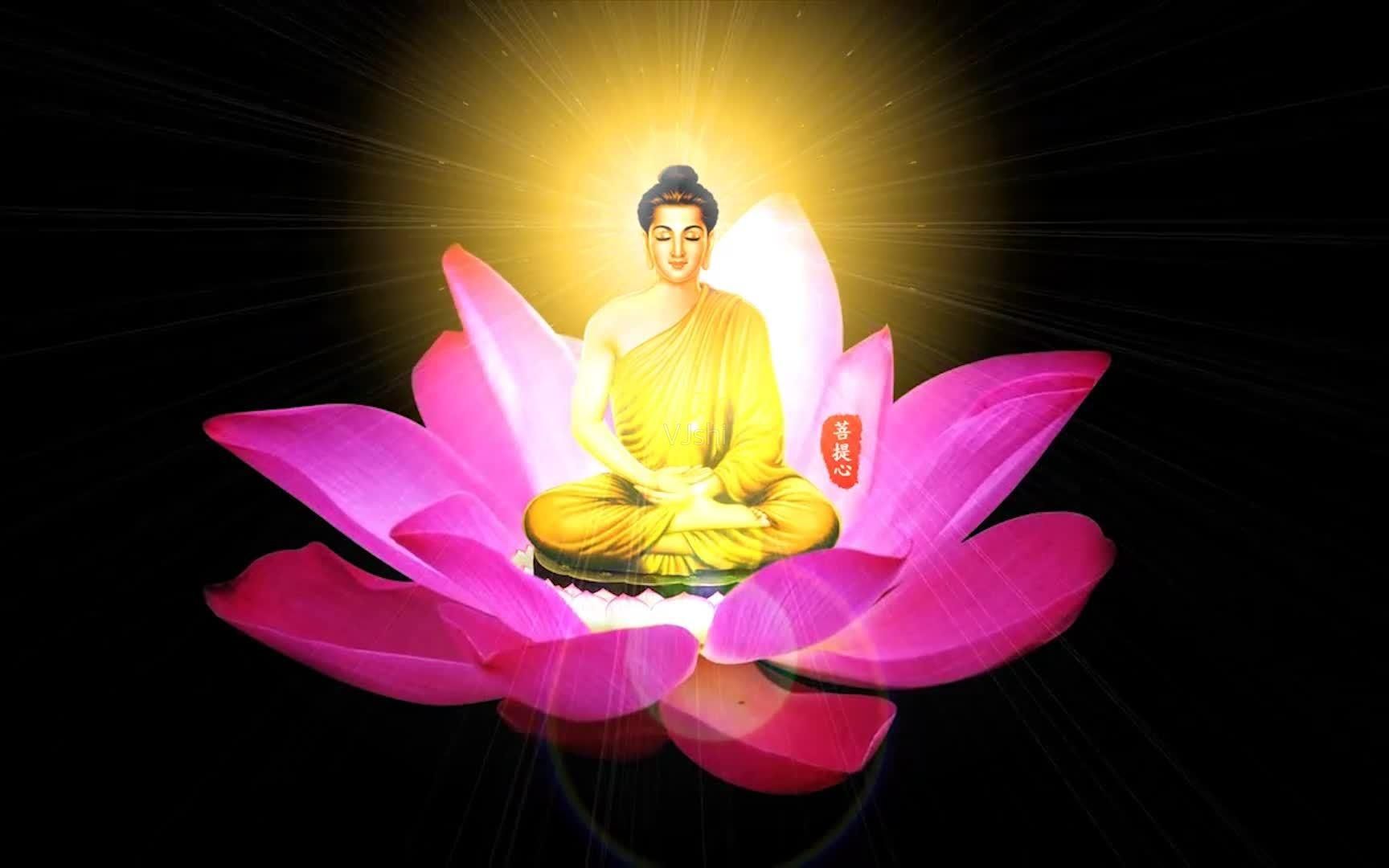 佛教歌曲《莲花上的小水滴》与你相依,不悲不喜