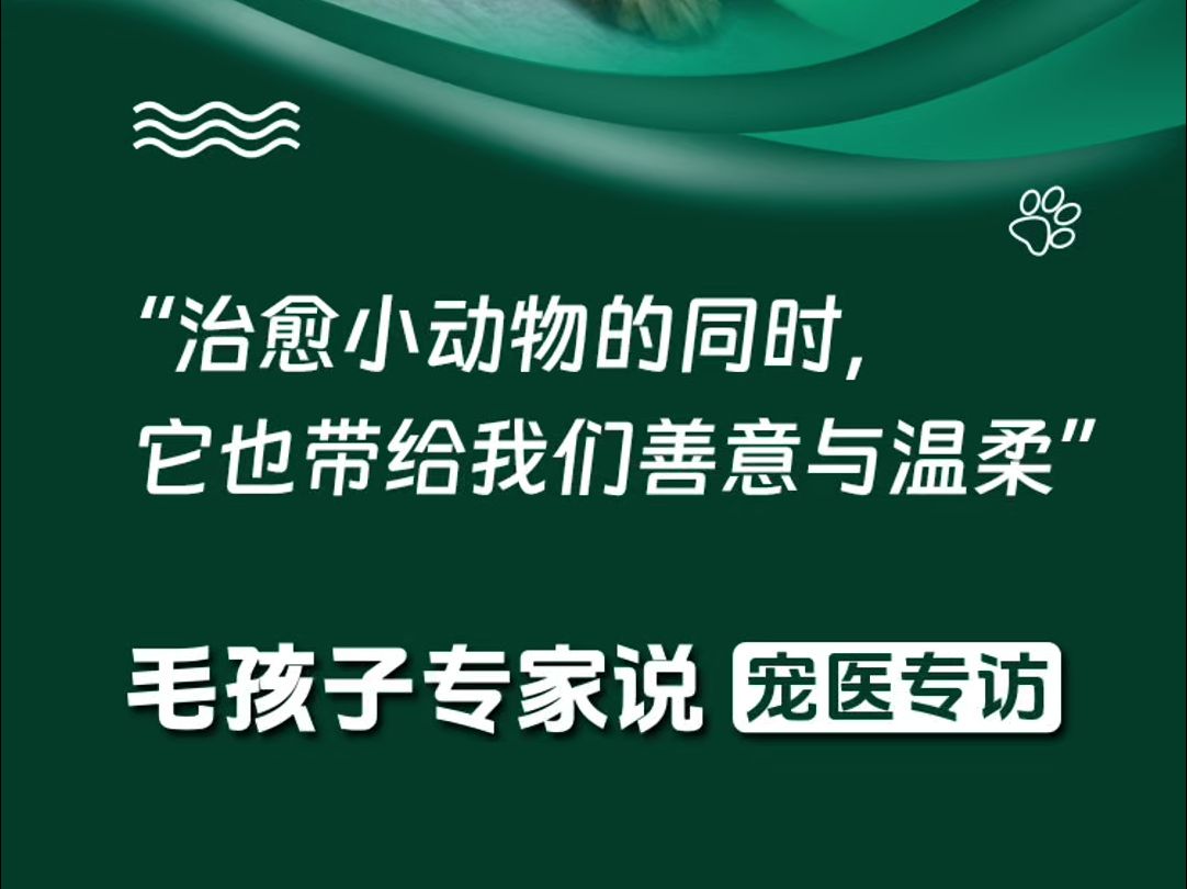 #世界动物日,保护动物,也是保护人类自己;治愈小动物,也在治愈我们的心灵.请为它们转发,保护我们可爱的朋友.哔哩哔哩bilibili