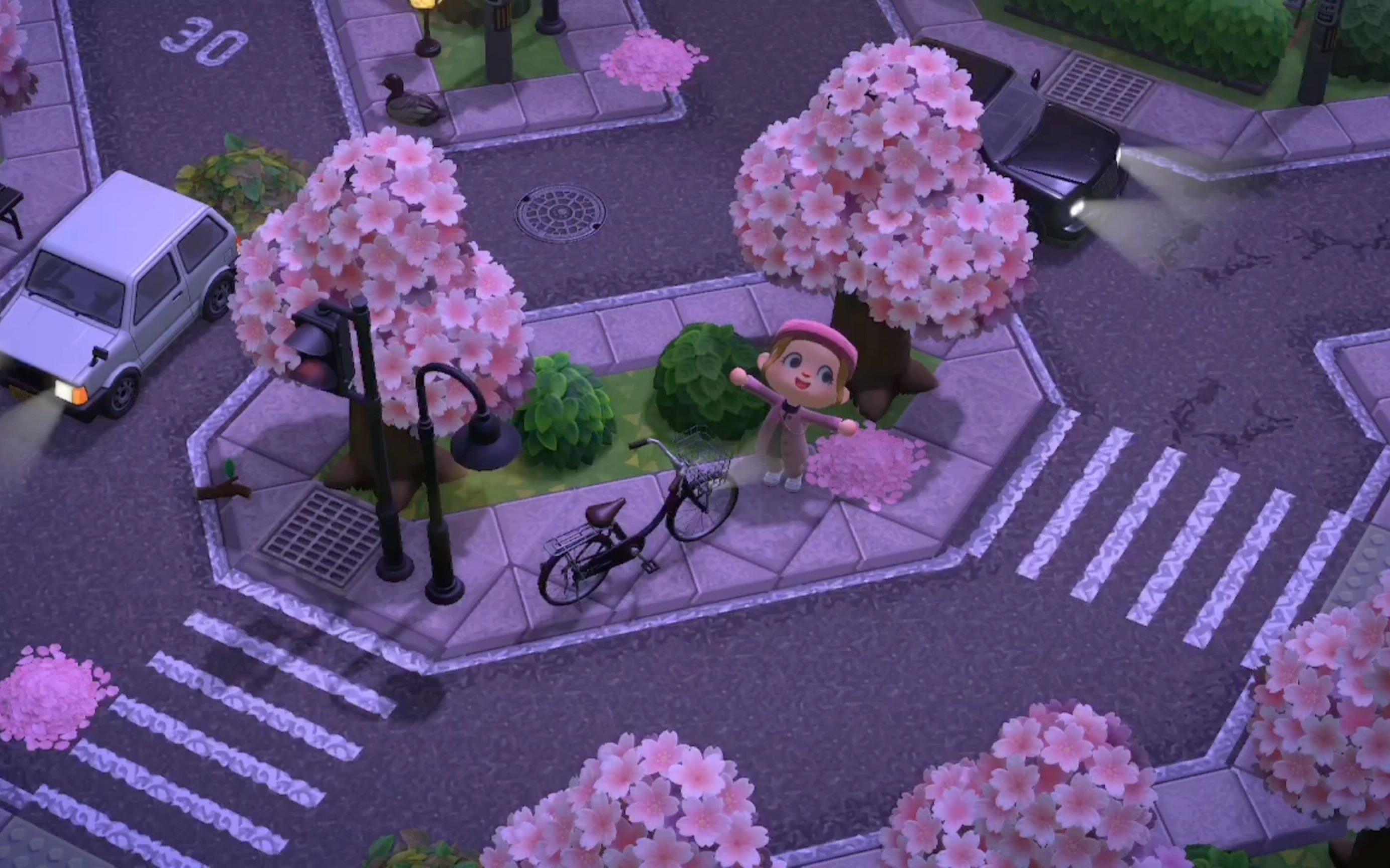 粉红色晚霞下,满眼粉色的樱花,是充满浪漫的小岛啊!(梦境逛岛vlog)