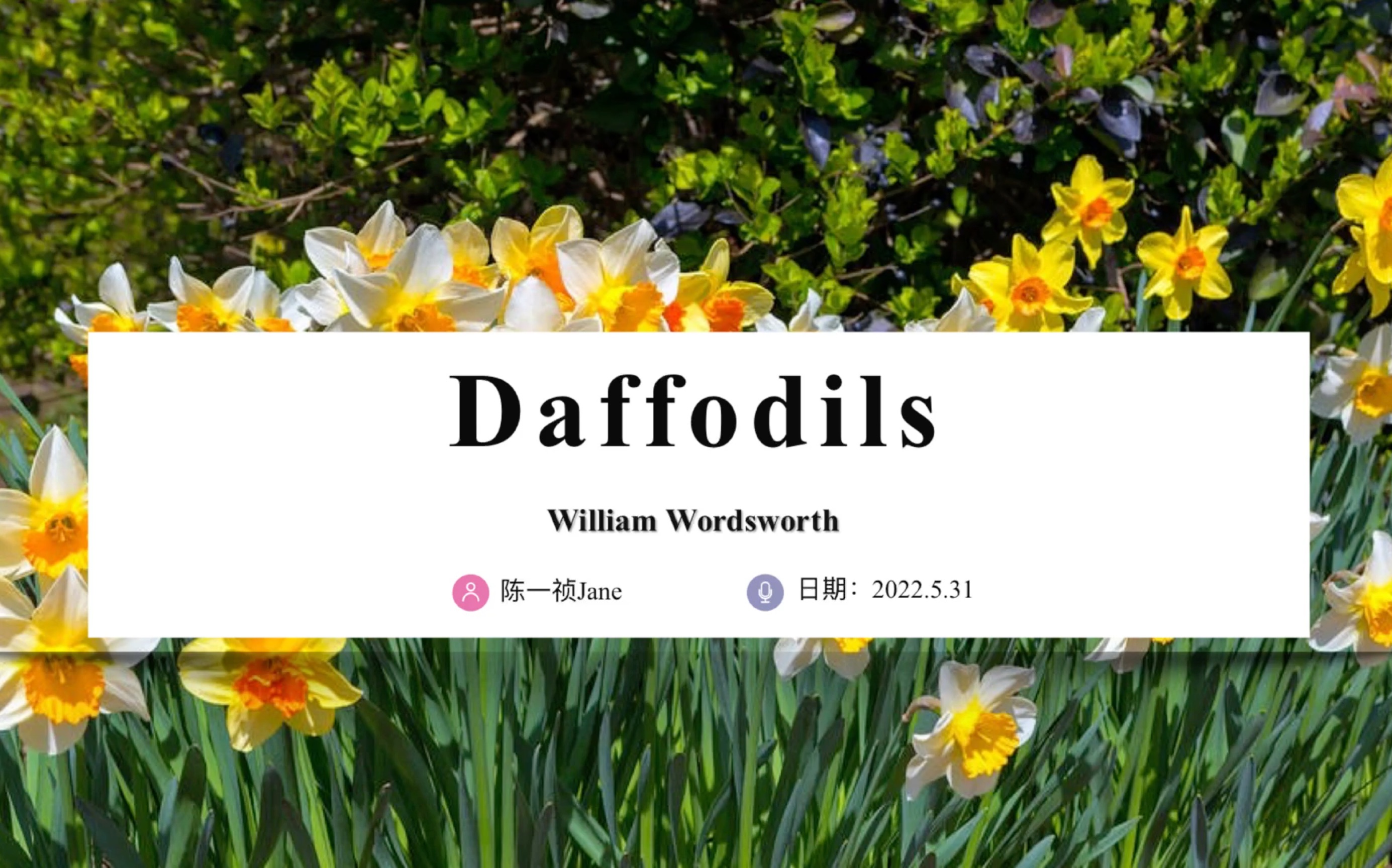 [图]Daffodils 《咏水仙》Willian Wordsworth 威廉华兹华斯