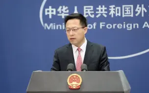 Descargar video: 美官员称中国政府帮助撰写了世卫组织溯源报告，赵立坚反问：为溯源研究提供便利，也成了幕后操纵？