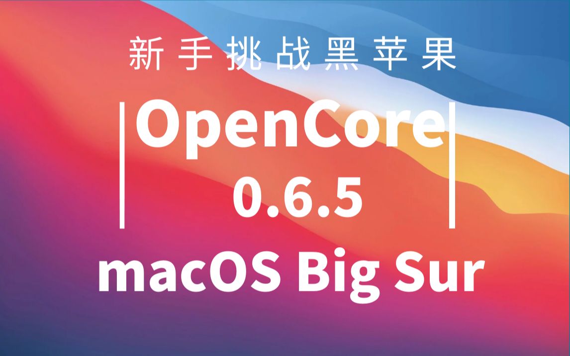 新手挑战黑苹果超详细的OpenCore黑苹果安装教程哔哩哔哩bilibili