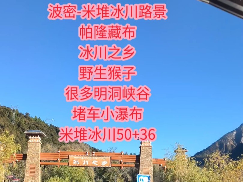 波密米堆冰川路景帕隆藏布冰川之乡野生猴子很多明洞峡谷堵车小瀑布米堆冰川50+36哔哩哔哩bilibili