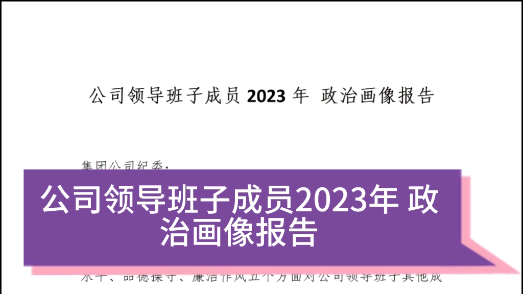 公司领导班子成员2023年政治画像报告