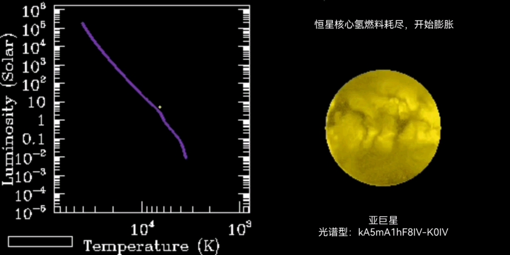 贫金属类太阳恒星HD140283的演化(主序星阶段已跳过),现在它是一颗亚巨星,它的金属量太低不足以产生晚型星光谱,但是温度和正常黄色恒星相同...