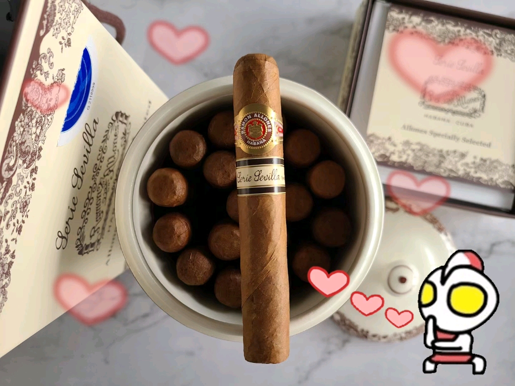 雷蒙阿龙特选罐子 古巴雪茄 亲测上等茄