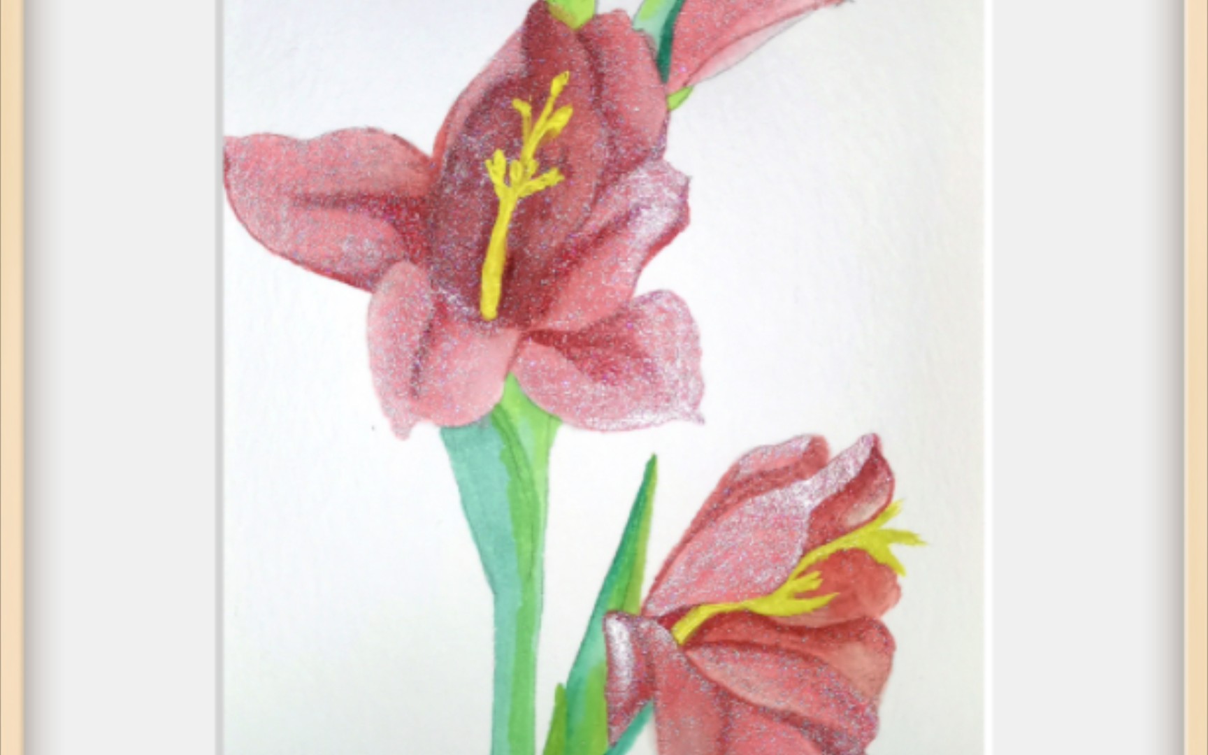 水彩原创花卉/剑兰