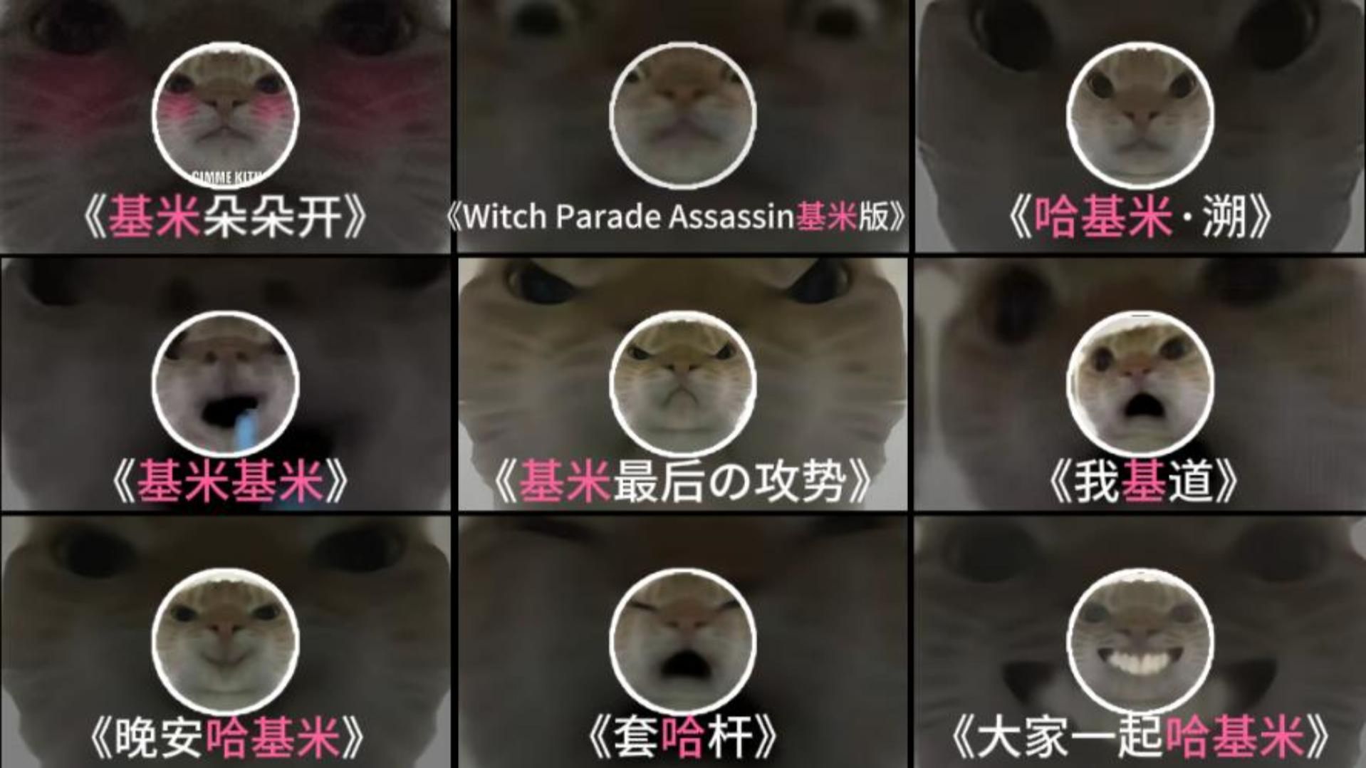 《哈基米の音乐合集》“如此天籁之音！”