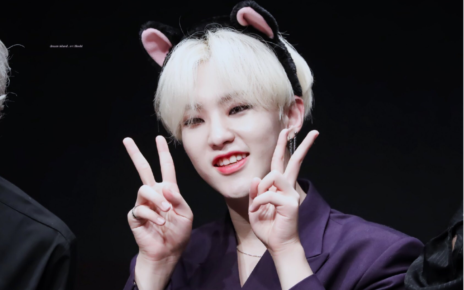 seventeen权顺荣你不是老虎呀是我们可爱又呆萌的小仓鼠呀