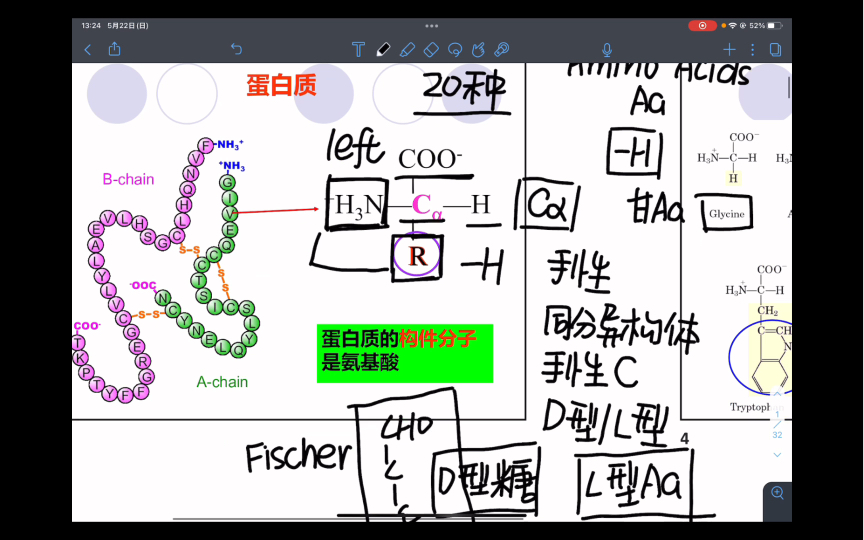 【生物化学】蛋白质哔哩哔哩bilibili