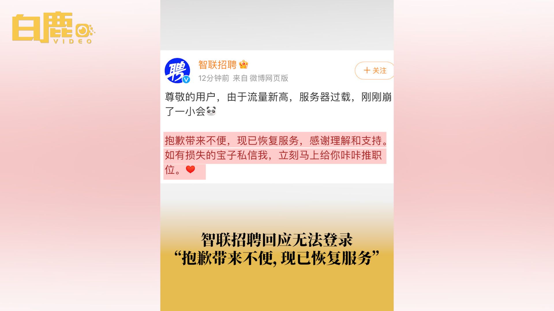 智联招聘回应无法登录哔哩哔哩bilibili