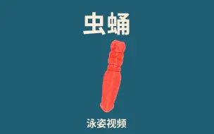 Download Video: 虫蛹的泳姿展示