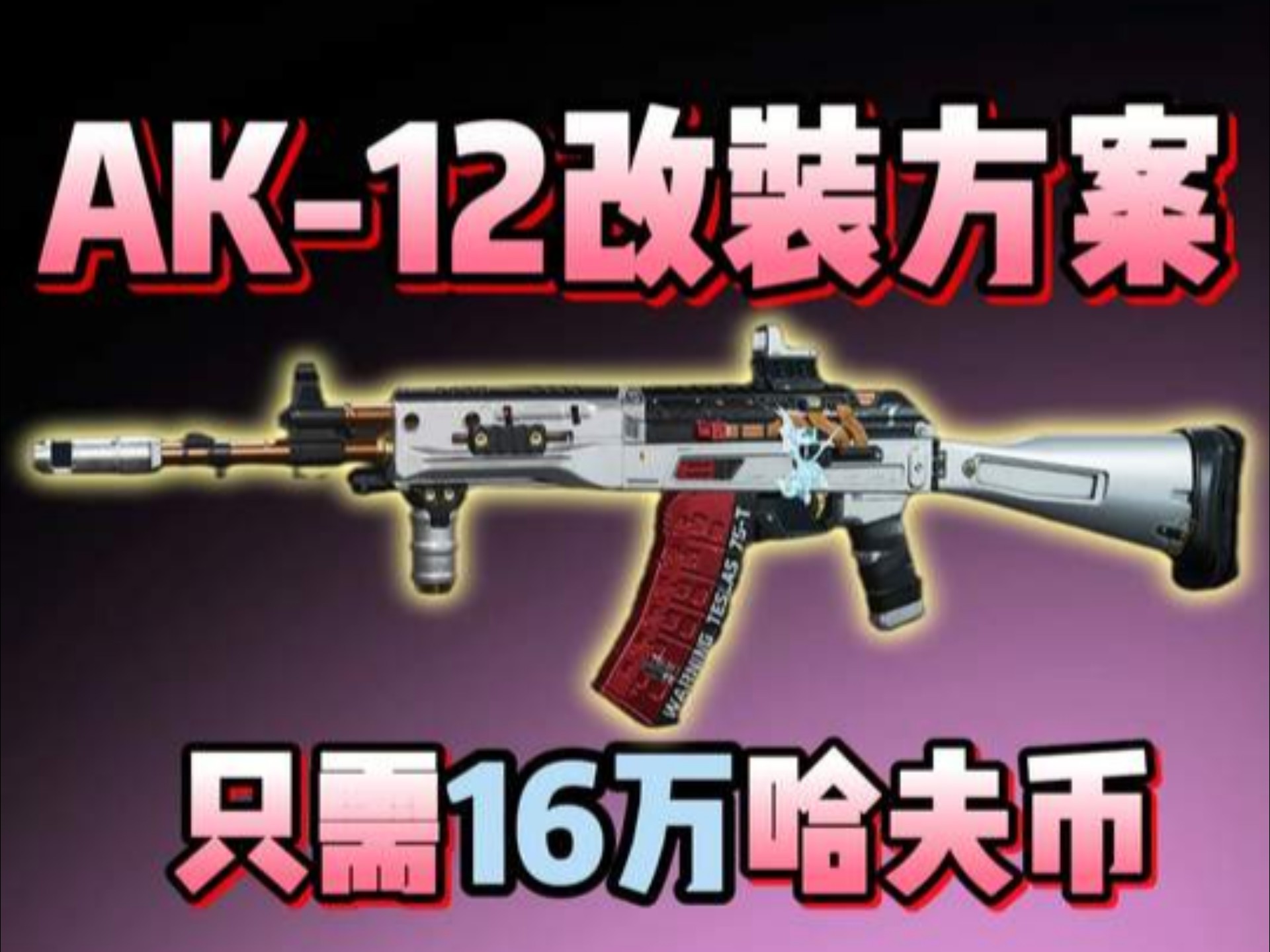 AK-12改装方案性价比之王!性价比版:AK-12突击步枪-烽火地带-6HVESG00313PONVVCTKA8
