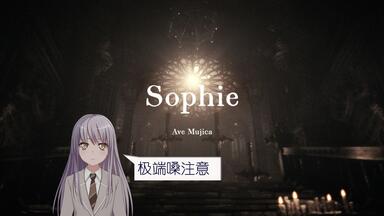 FLAC] Sophie / 'S/' The Way -ver.D-_哔哩哔哩_bilibili