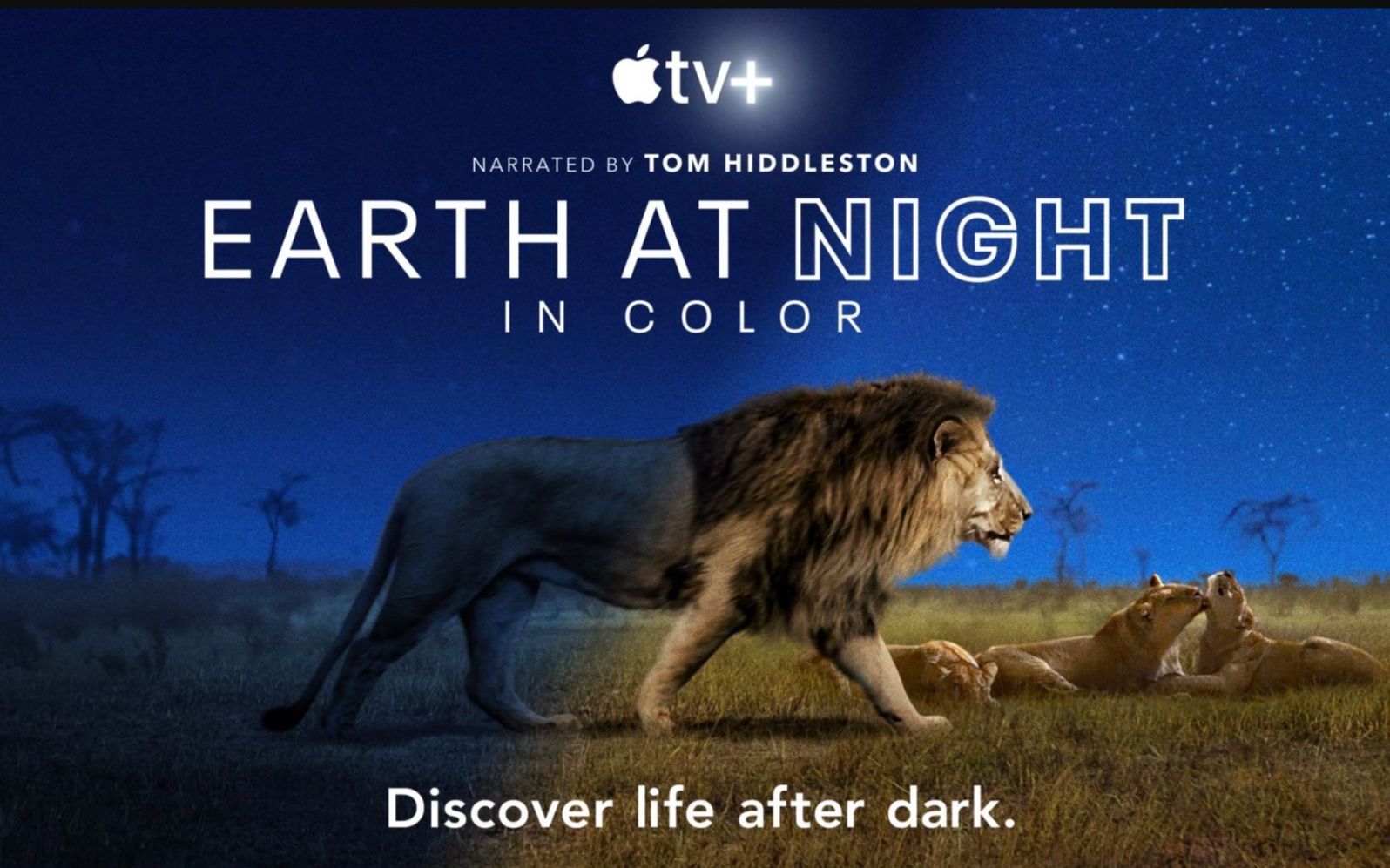 [图]夜色中的地球 第一季 Earth At Night In Color 4K画质 中英文字幕 普通话配音 全6集第四集