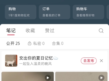 已死哔哩哔哩bilibili