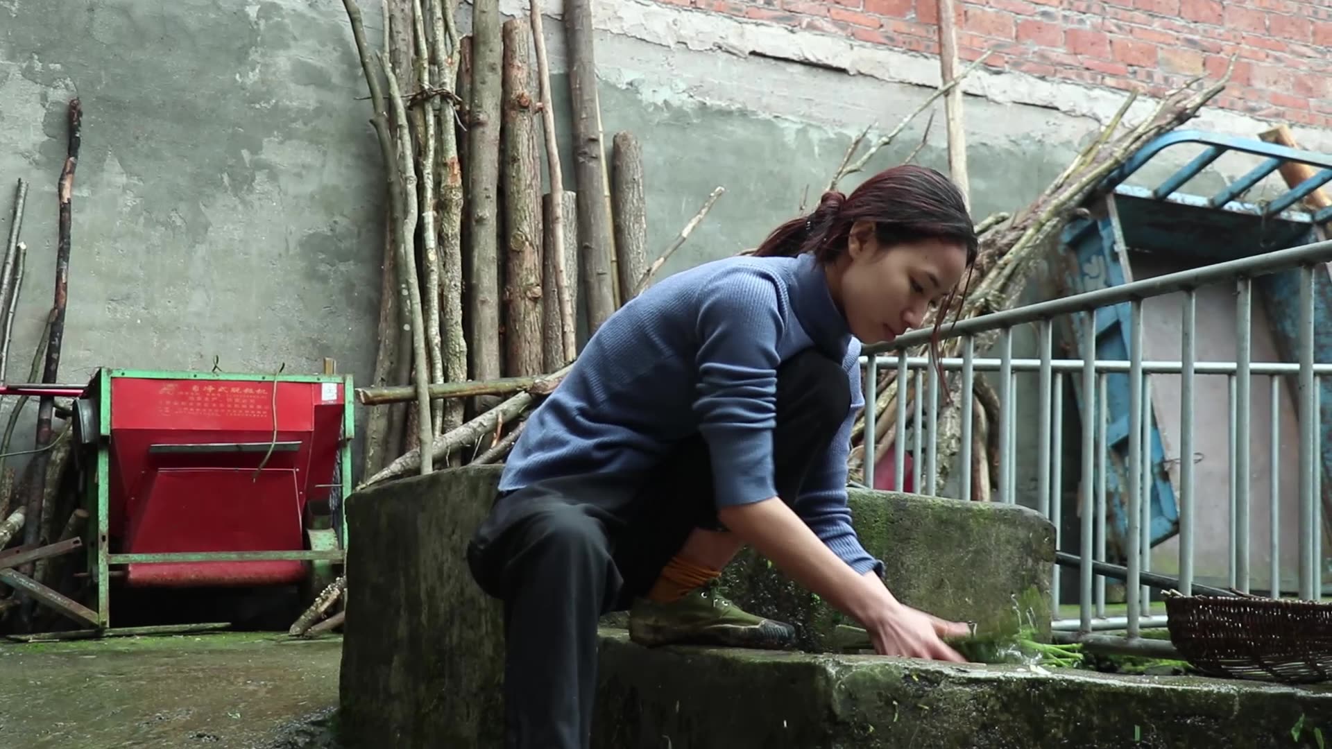 农家姑娘山里寻找野菜回家炒自家腌制腊肉你有吃过吗