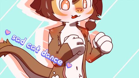 sad cat dance。_哔哩哔哩_bilibili