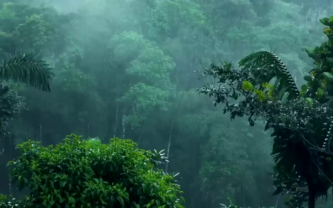 [图]【10小时】空山新雨后，天气晚来秋