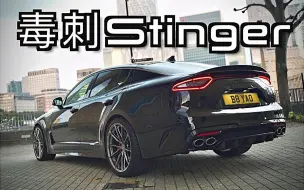 下载视频: 我的韩国车比你的德系车帅 KIA起亚Stinger毒刺斯丁格