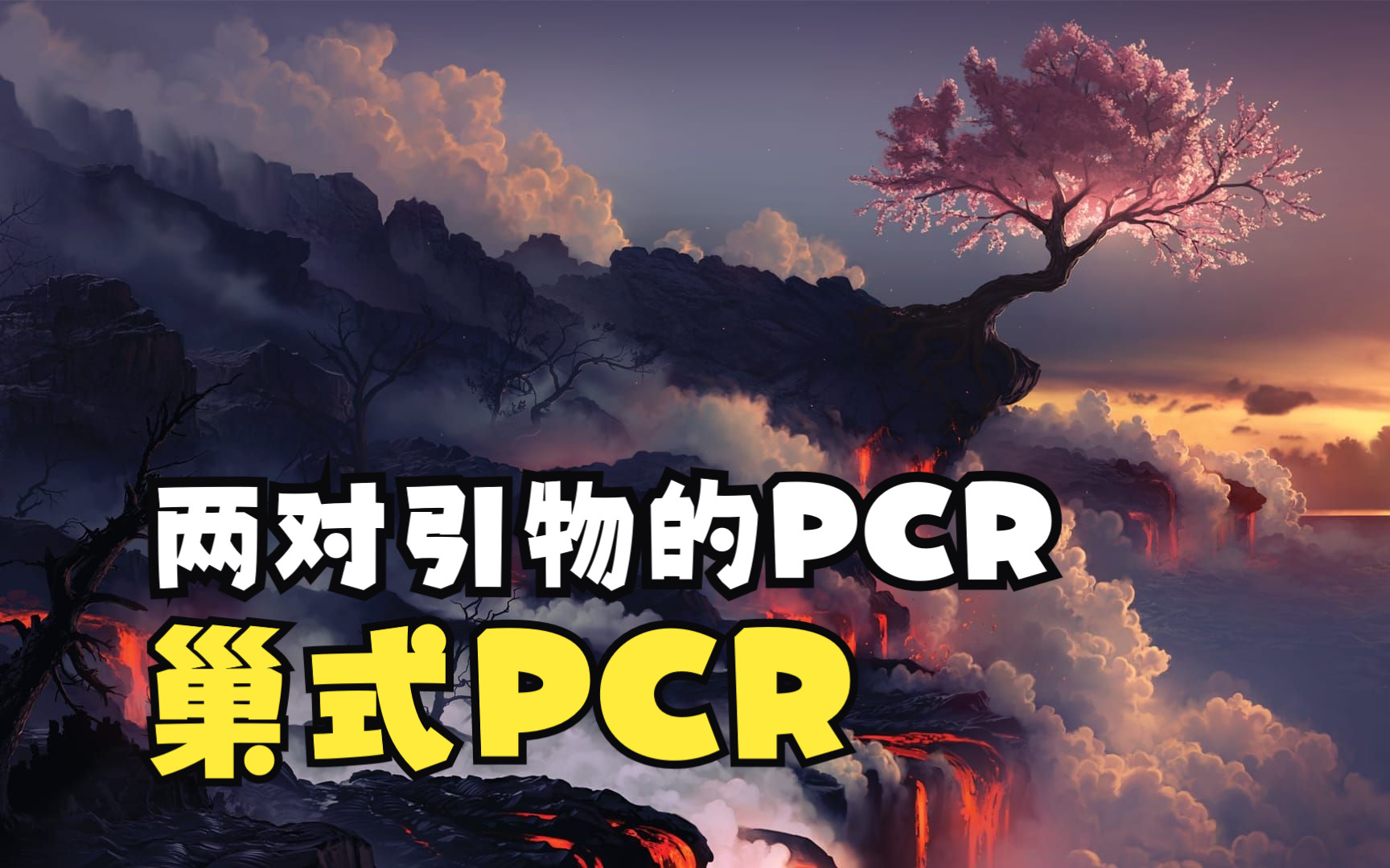 两对引物的PCR 巢式PCR的工作原理哔哩哔哩bilibili