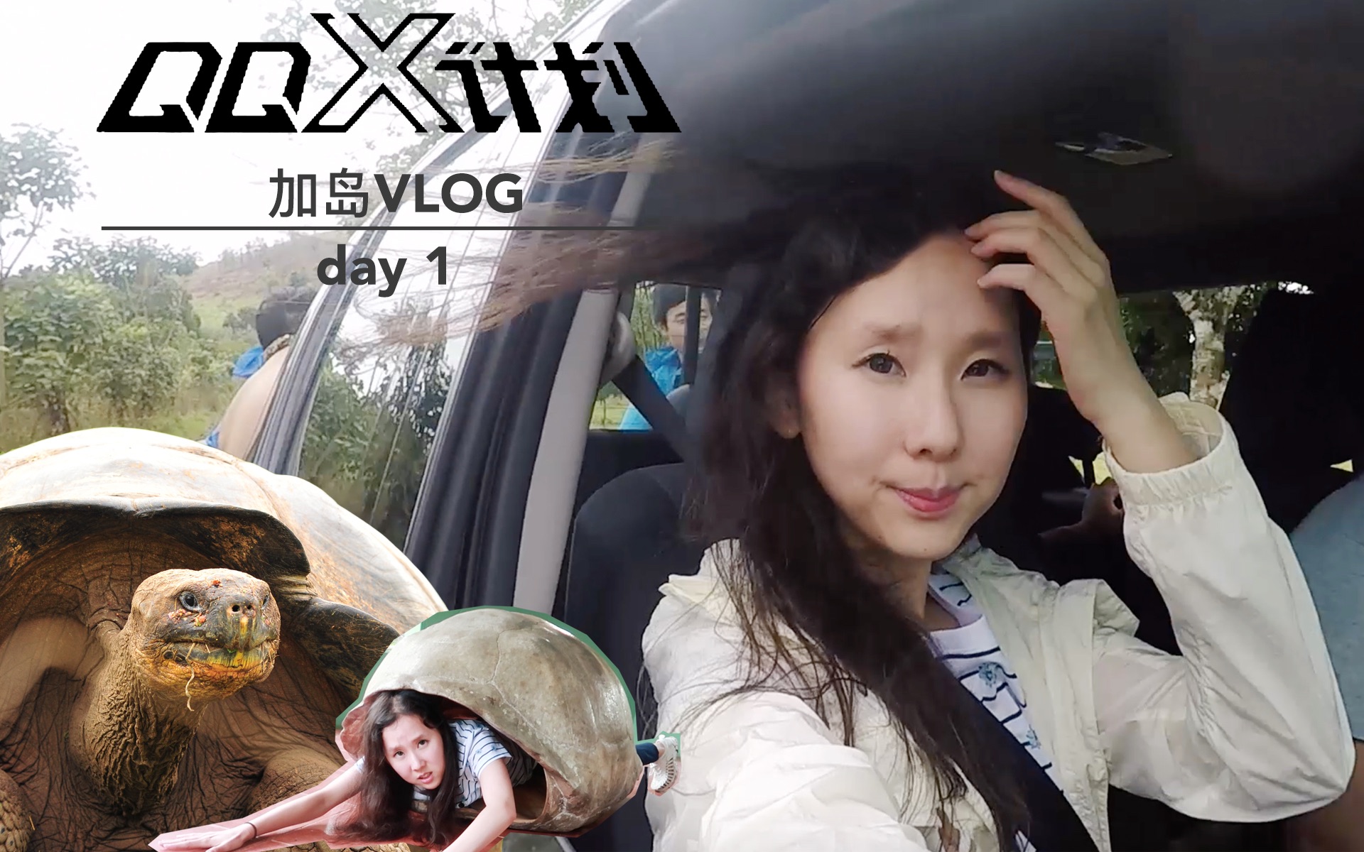 【加岛vlog】QQX计划第一站!寻找象龟之旅哔哩哔哩bilibili