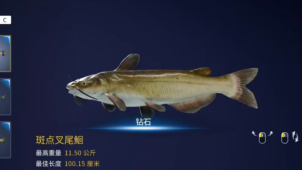 荒野的召唤垂钓者黄金岭钻石斑点叉尾鮰点位及推荐勾饵