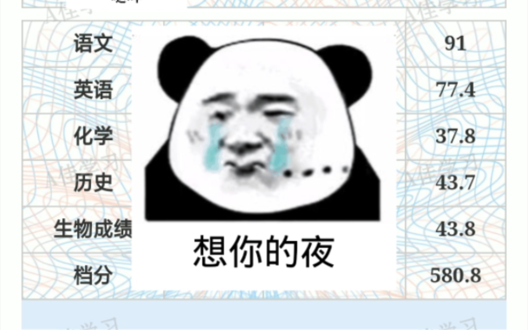 我的中考成绩查询.哔哩哔哩bilibili