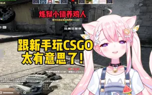 Download Video: 肉肉：跟新手玩CSGO可太有意思了！哈哈