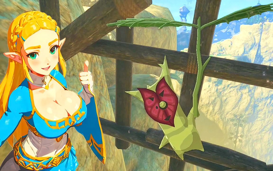 这就是为什么有1000个呀哈哈种子. | 塞尔达传说 王国之泪