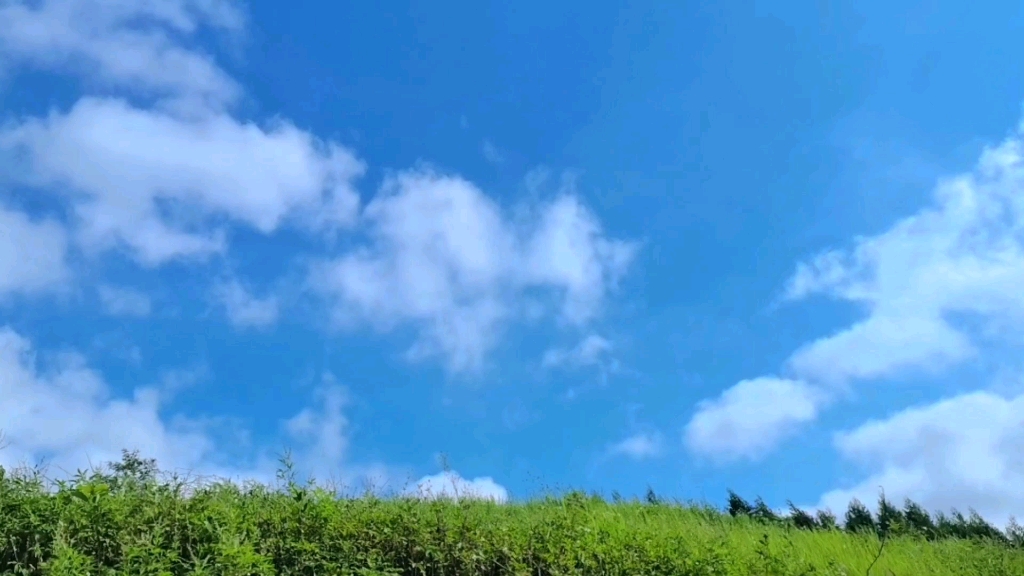 原来有风的地方是故乡