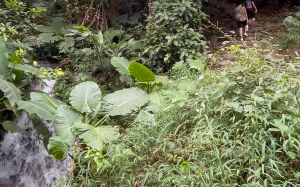 [图]溪漱山根玉有声•梧桐山泰山涧溯溪之行