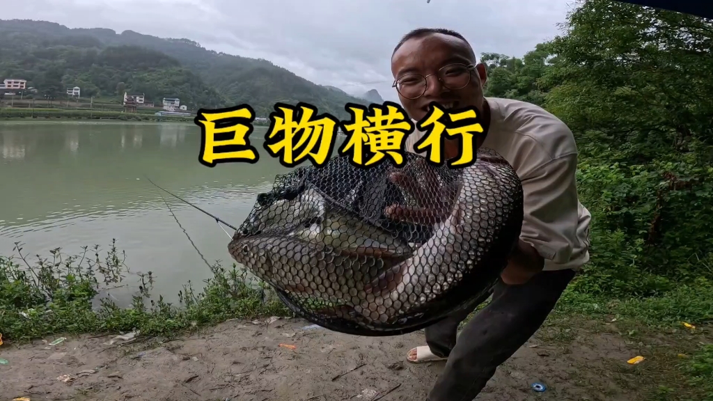 游钓贵州终于钓到大鱼了,吃个全鱼宴-老黄游钓中国-老黄游钓中国-哔哩哔哩视频