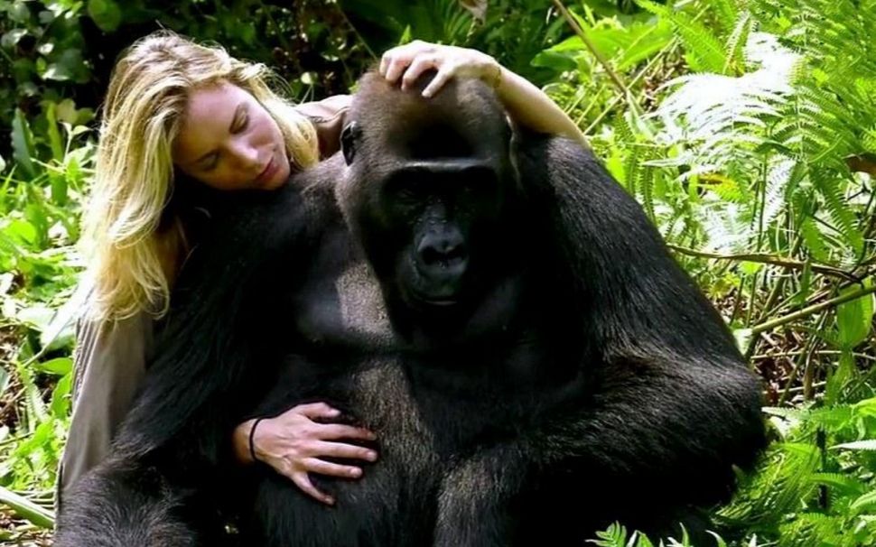 28岁女人和大猩猩结婚图片