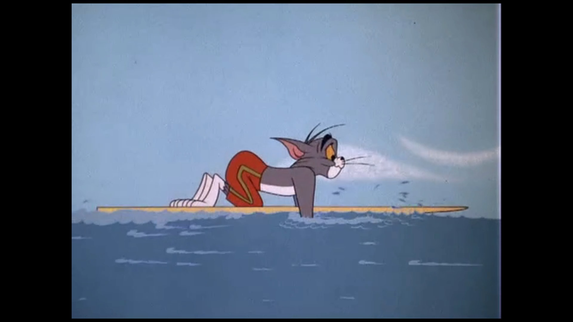 【猫和老鼠】冲 浪 的 猫