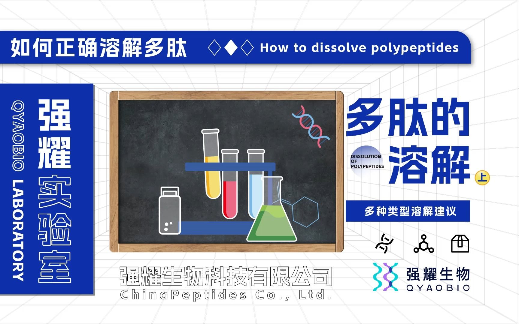 多肽的溶解(上)|强耀生物|多肽产品|科研助力|多肽定制哔哩哔哩bilibili